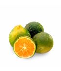 Limon Mandarino Kl