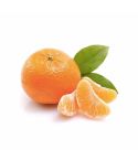 Mandarina x 1000gr