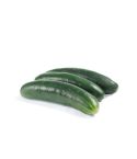 Pepino Cohombro Kl