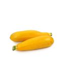 Pepino Calabazin Amarillo Kl