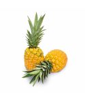 Piña Oro Miel x 1000gr