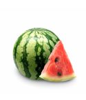 Sandia Baby Kl