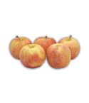 Manzana Gala Und