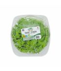 Lechuga Crespa Hortifresco 130g Pet
