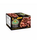 Té Negro Premium Café Y Chocolate Hindú x 32gr x 20 Unidades