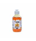 Miel De Abeja Biomiel 100% Pura Pet X 330g