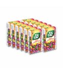 Tic Tac Sabor A Fruit Adventure x 16gr