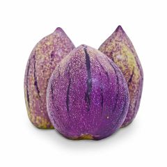 Pepino de Agua