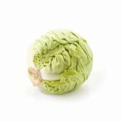 Repollo Blanco