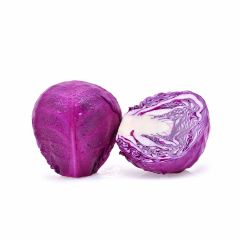 Repollo Morado
