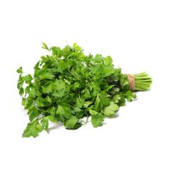 Cilantro