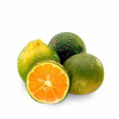 Limon Mandarino Kl