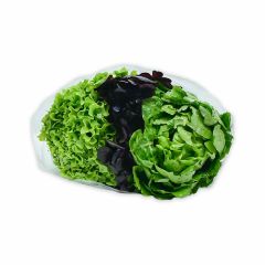 Lechuga Crespa/Morada/Cogollo Bouquet Un