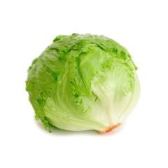 Lechuga Batavia Unidad