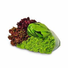 Lechuga Mixta Tierna Unidad