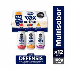 Alimento Lácteo Yox Alpina Con Defensis Pet Surtido x 100gr x 12 Unidades