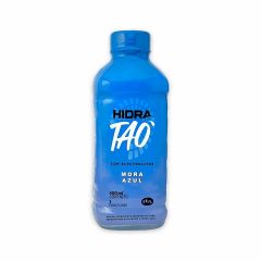 Bebida Hidratante Hidratao Sabor Mora Azul Pet x 600ml