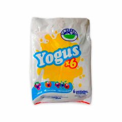 Bebida Láctea Yogus Sabores Surtidos Bolsa x 150gr x 6 Unidades