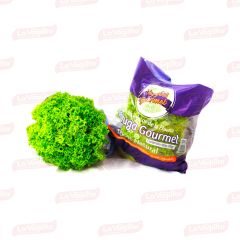 Lechuga Crespa Veggies Gourmet 250G Hidr
