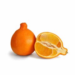 Naranja Tangelo