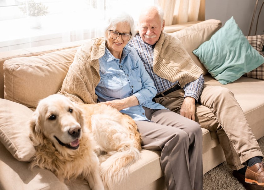 El eliminador de olores descompone las moléculas del mal olor en los espacios que tu mascota habita regularmente Pareja de ancianos sentados en el sofá de la casa con su perro
